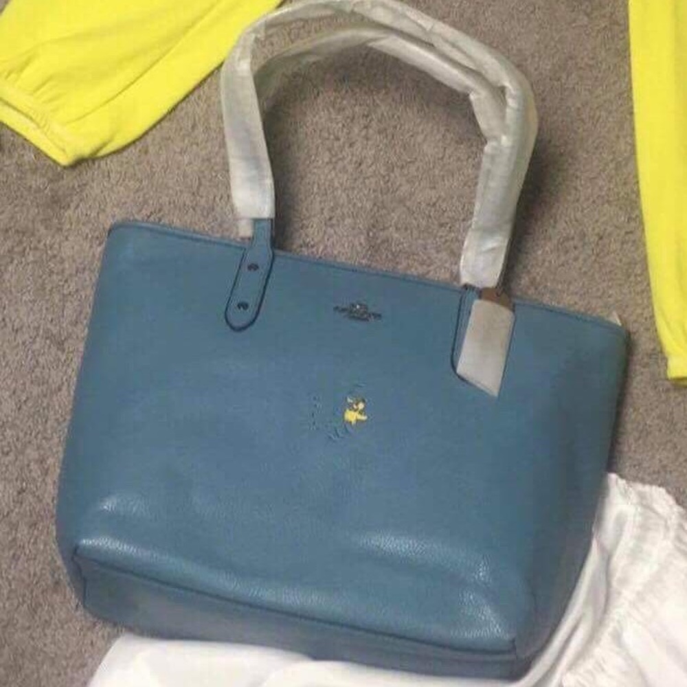COACH PEANUTS COLLECTION